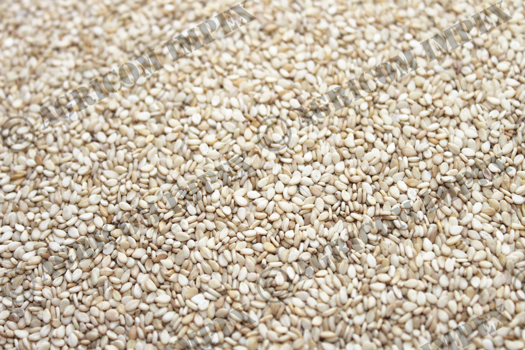 Natural Sesame Seed